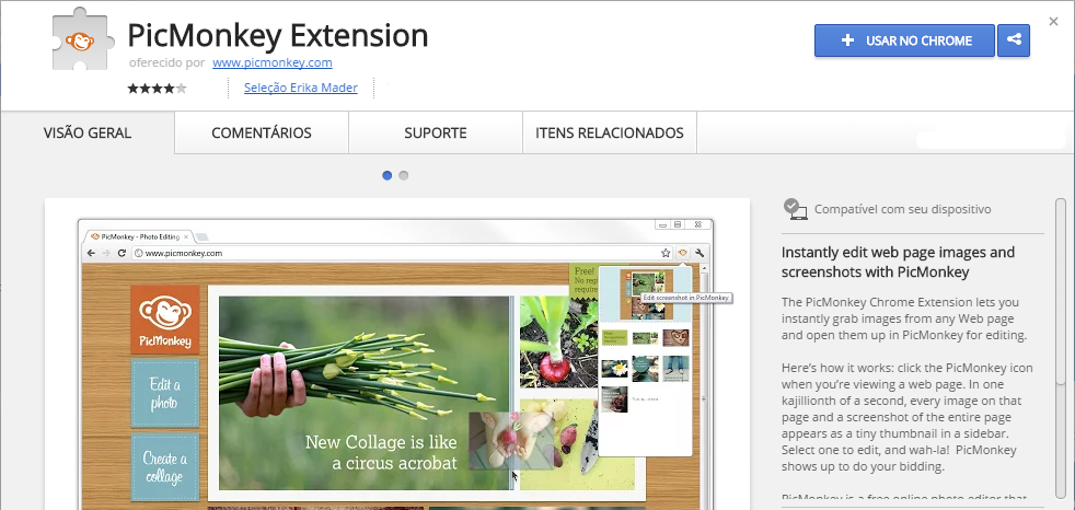 PicMonkey Extension Chrome Web Store extensão chrome