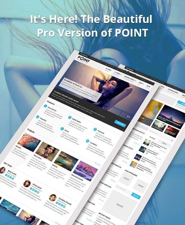 PointPro-Tema Responsivo WordPress